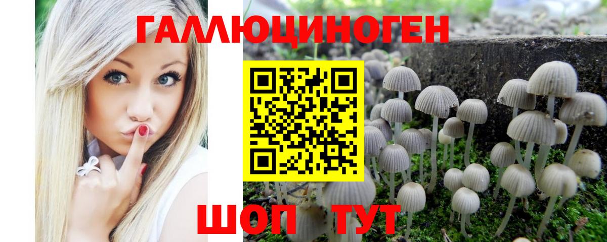 Жигулёвск  Галлюциногенные грибы ЛСД  Галлюциногенные грибы Cubensis  Вход с VPN 
